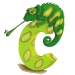 camaleon