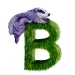 blaireau