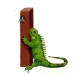 iguane