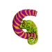 cameleon