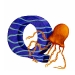 qualle