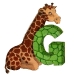 giraffe
