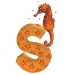 seepferdchen